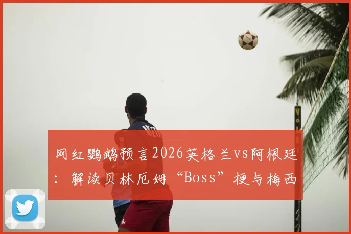 网红鹦鹉预言2026英格兰vs阿根廷：解读贝林厄姆“Boss”梗与梅西角色，动物预测靠谱吗？