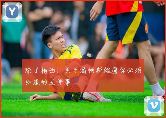 除了梅西，关于潘帕斯雄鹰你必须知道的五件事